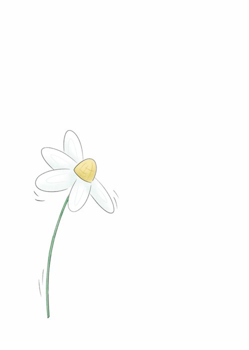 Studio Fred Illustraties | Condoleancekaart | Veel sterkte | Bloemen