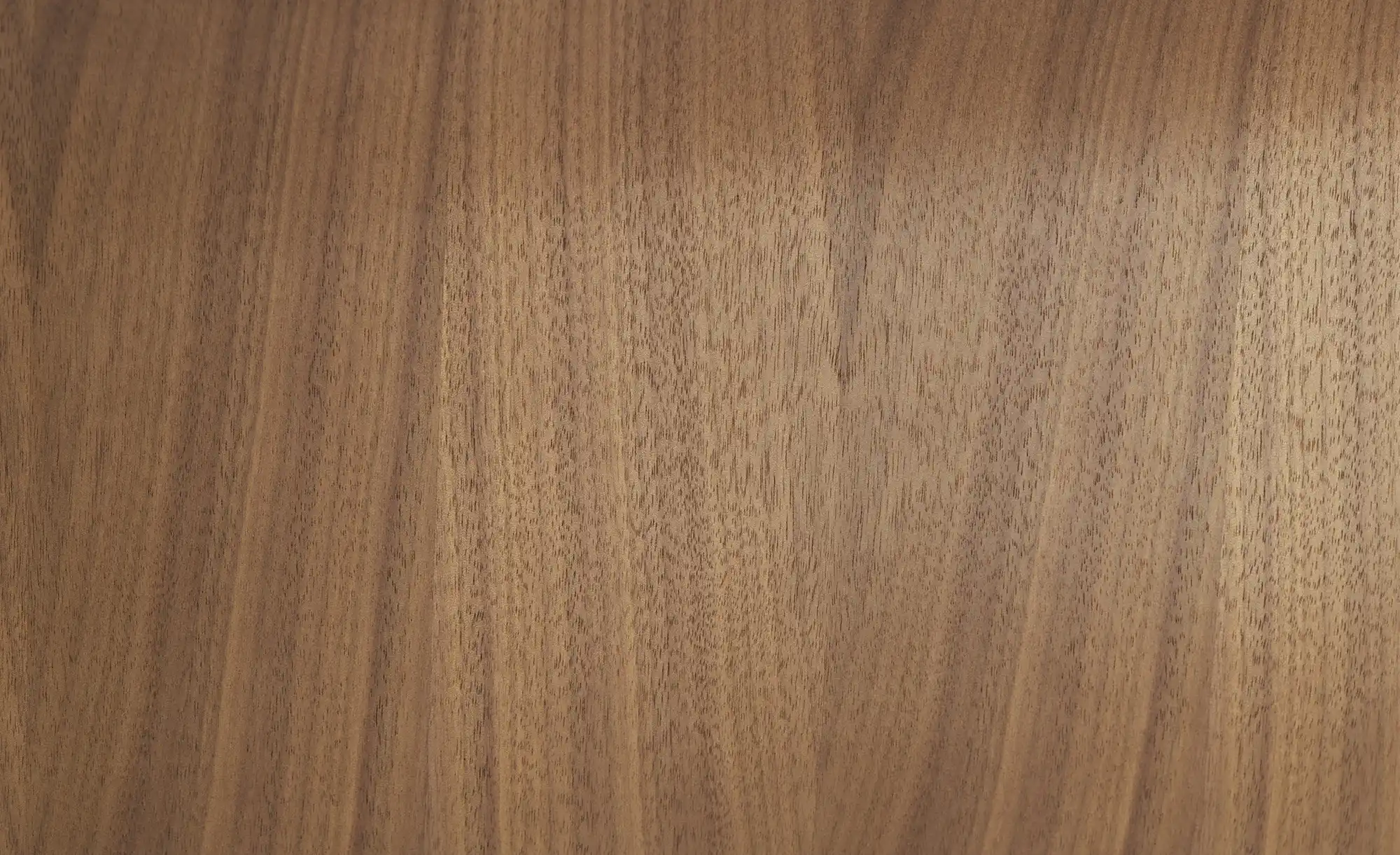 Sessel in Leder mit Knopfnaht Timeout