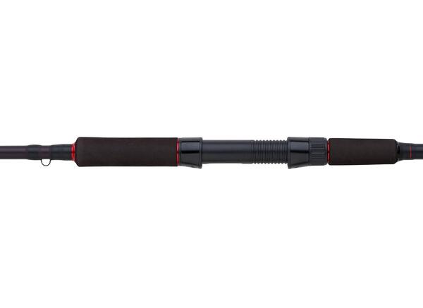 Canne Spinning Abu Garcia Beast Pike