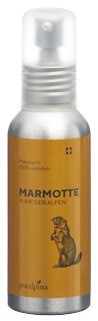 PURALPINA Marmotte Massageöl Öl Fl 100 ml