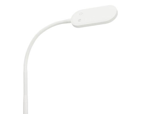 LED vloerlamp CCT 600 lm warm wit-daglichtwit H 128 cm met touchdimmer wit