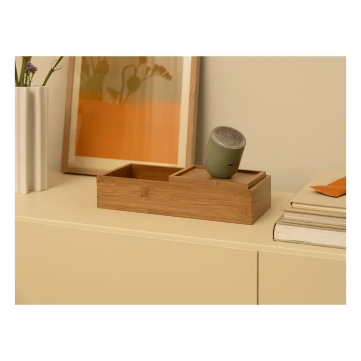 Steamery Rasoir anti-bouloche Pilo N°2 | Sauge