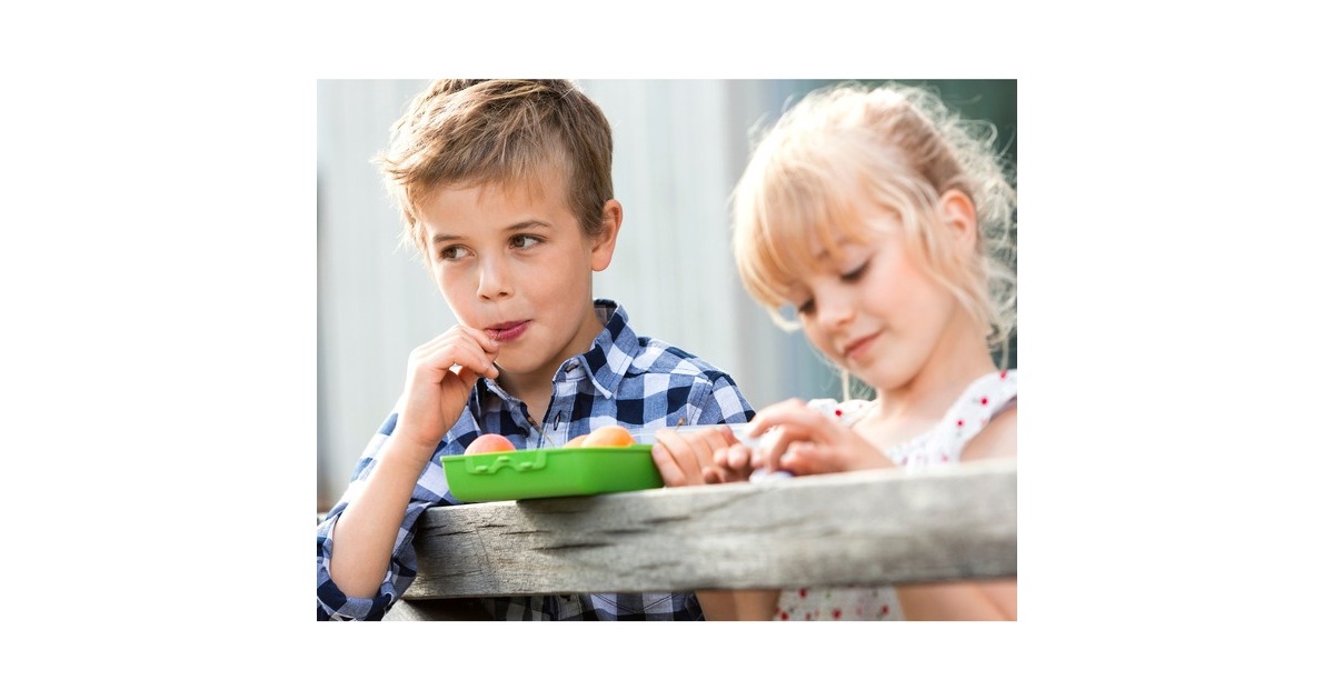 EmsaVARIABOLO Lunchtrommel Dino lunchbox  (Blauw/transparant)