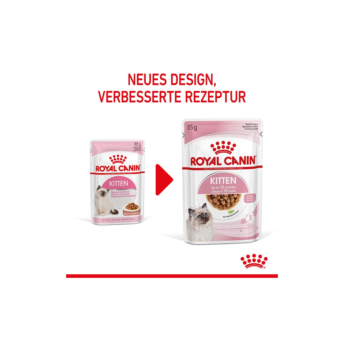 ROYAL CANIN Kitten in Soße 12x85 g
