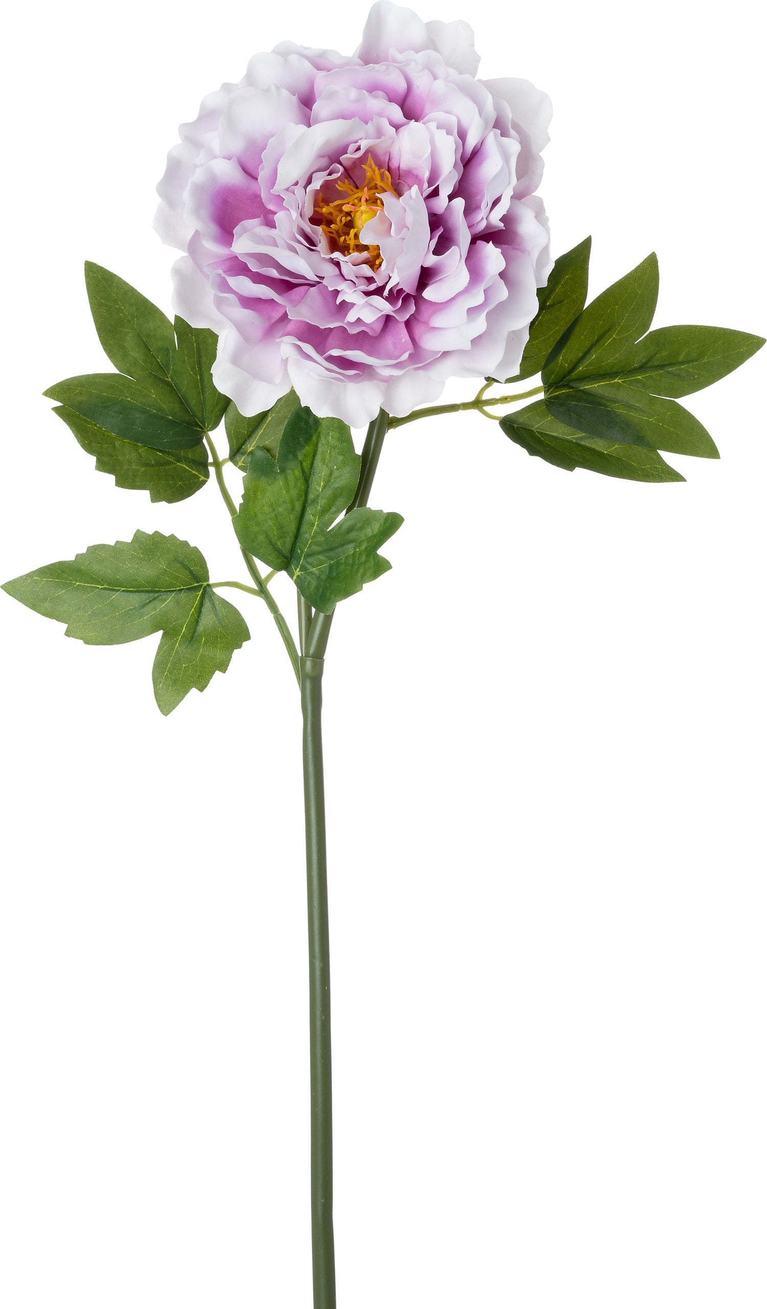 Intratuin kunstbloem Pioen wit paars 60 cm
