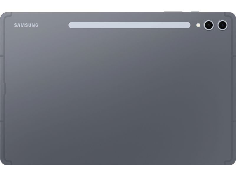 Samsung Galaxy Tab S10  WiFi 256 GB Grau Leistungsvolles Tablet mit Dynamic AMOLED Display und dynamischer 30-120 Hz Refresh-Rate