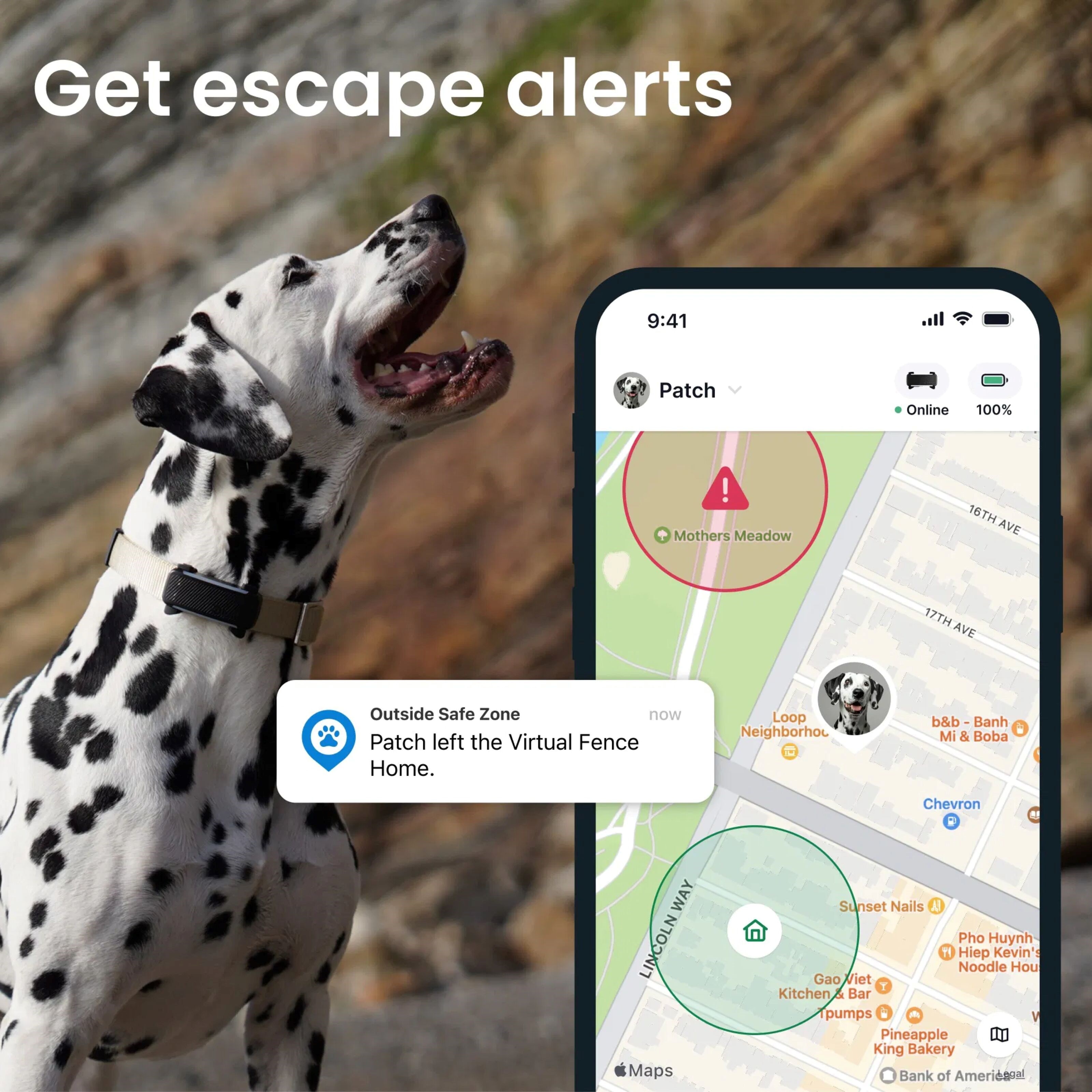 Tractive DOG 6 – GPS-hundehalsbånd og helseovervåking