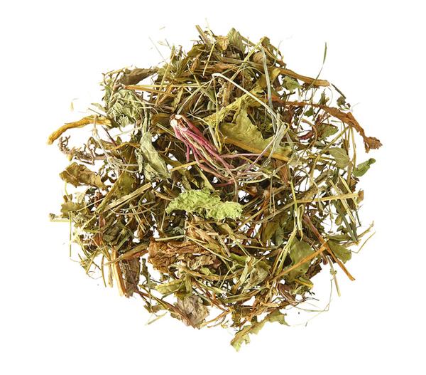 Dehner Lieblinge Löwenzahn-Mix, 100 g