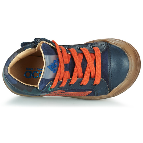 Acebo's - 5567-MARINO-I - Marine