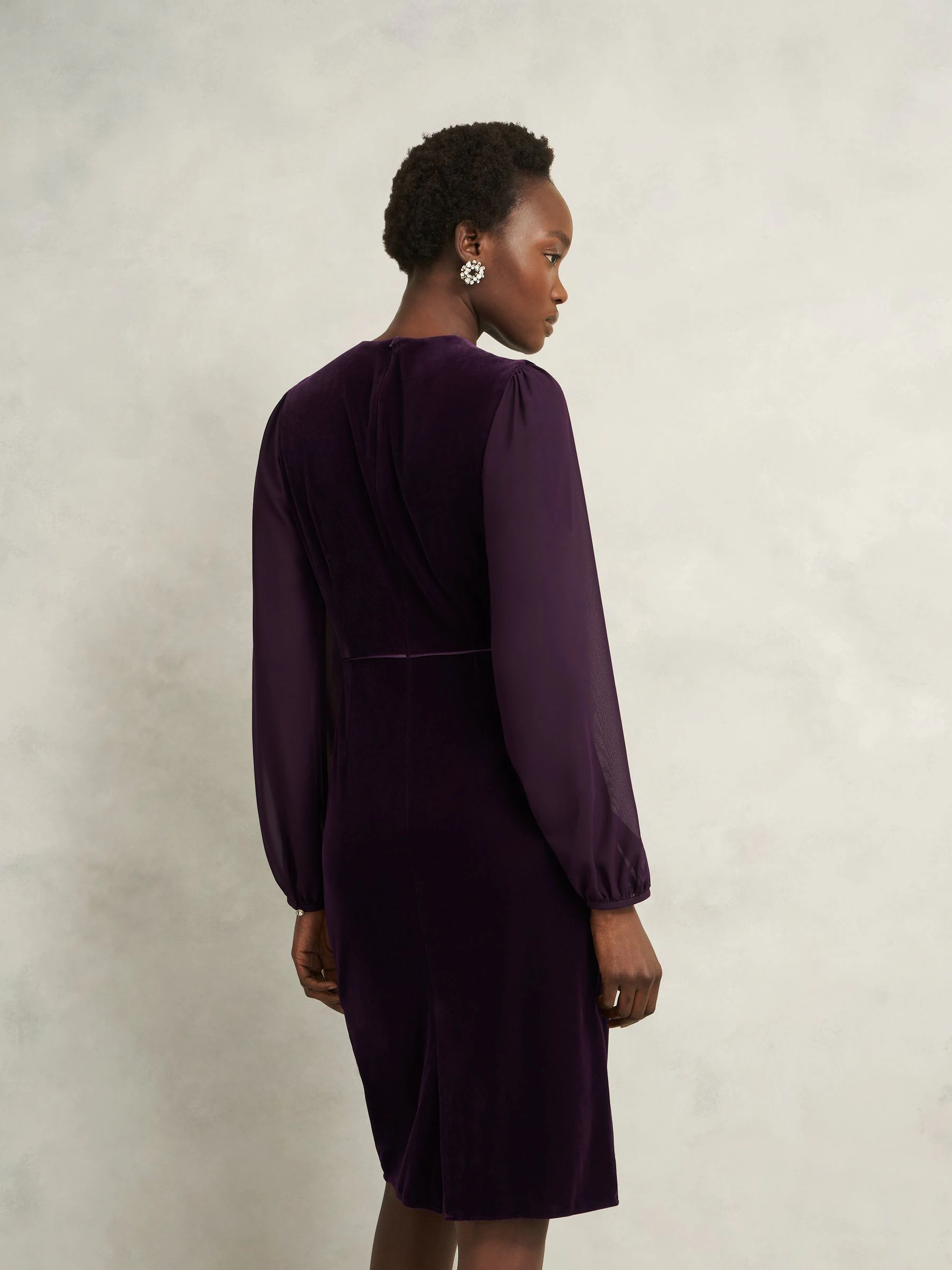 Hobbs Willow Velvet Dress