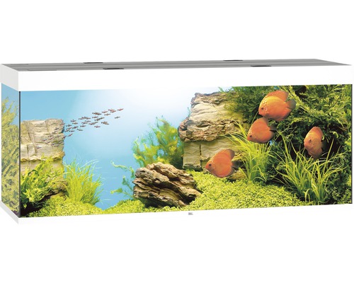 JUWEL Rio 450 aquarium met LED-verlichting, pomp, filter, verwarming (zonder kast), wit