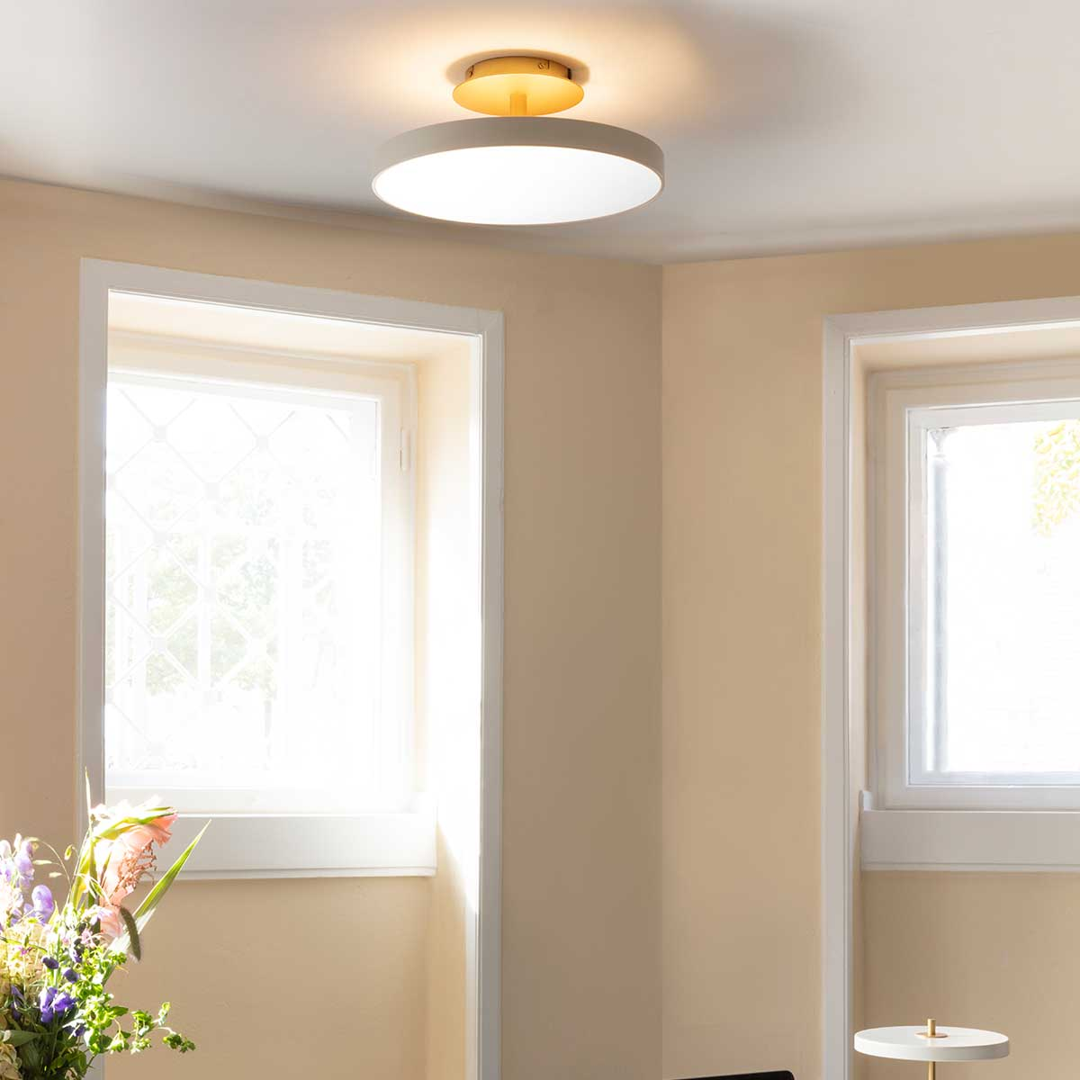 Plafondlamp Asteria Up Medium Antraciet