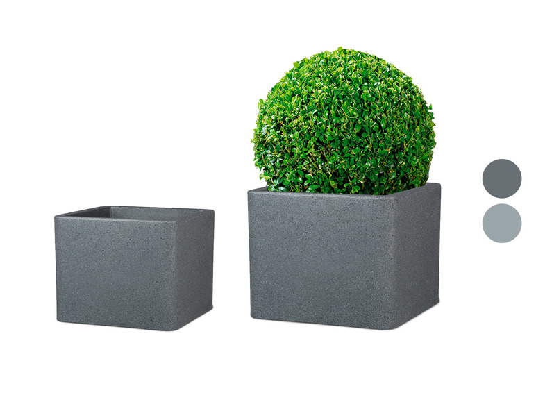 Plantenbak