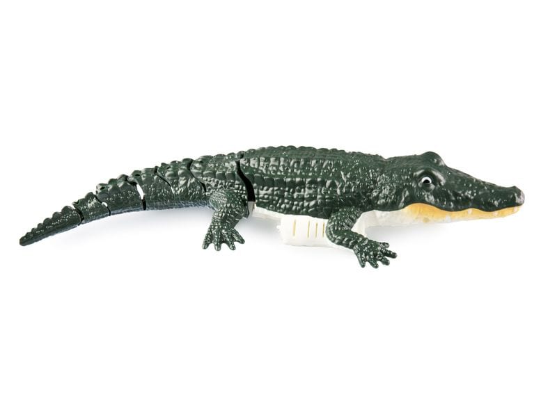 Amewi Croco das kleine Krokodil 370 mm, 4-Kanal, RTR Ferngesteuertes Krokodil mit realistischen Bewegungen