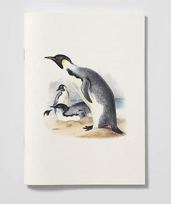 CARNET EREBUS ET TERROR EN ANTARCTIQUE