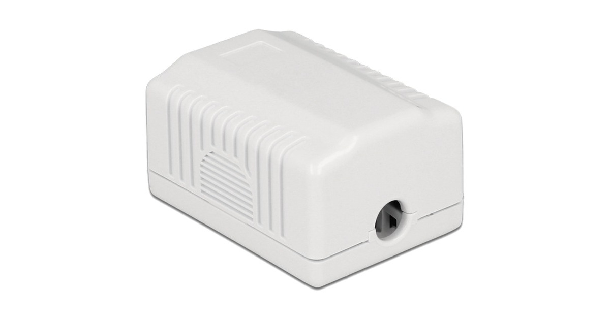 DeLOCKNetwork Wall Outlet 1 Port Cat.6A LSA montagedoos  (Wit)