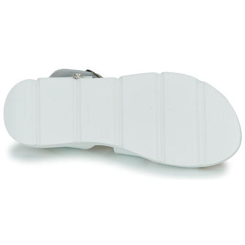 Citrouille et Compagnie - PALETTE - Blanc