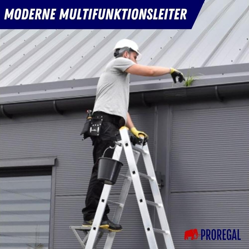 PROREGAL Economy Basic 3-delige multifunctionele ladder met dwarsbalk, 3 x 10 sporten, werkhoogte 5,72 m, draagvermogen 150 kg