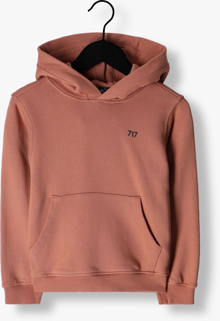 SEVENONESEVEN roze sevenoneseven trui hooded sweater