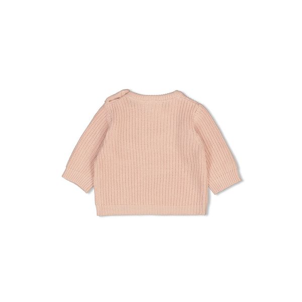 Feetje Sweater Gebreid The Magic is in You Roze