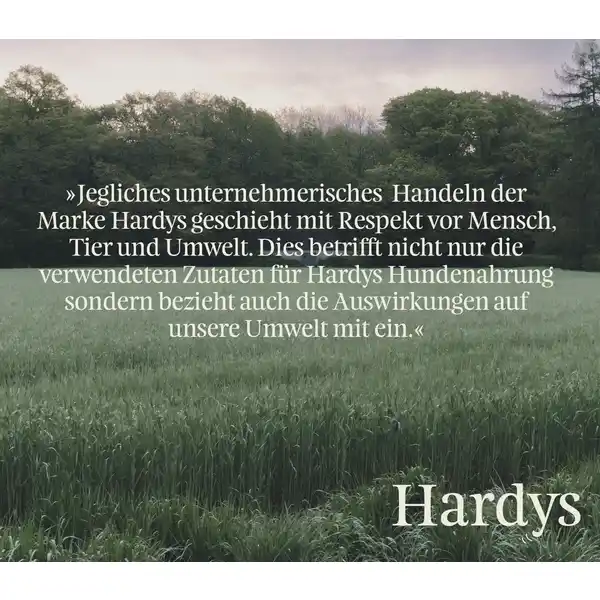 Pur Trockenfleischstreifen Rind