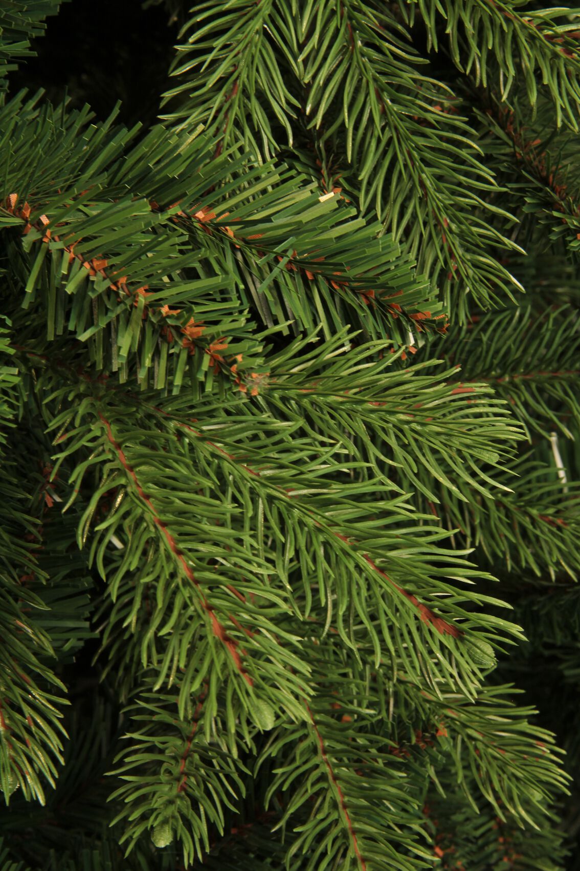 Black Box Brampton - Kunstkerstboom - Groen - 185 cm