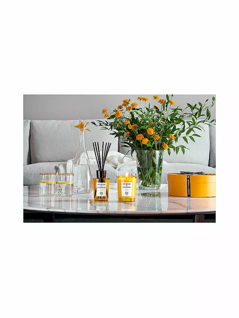 ACQUA DI PARMA Insieme Diffuser 180ml keine Farbe
