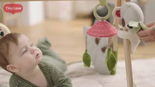 Boho Chic Luxe Developmental Gymini 0m