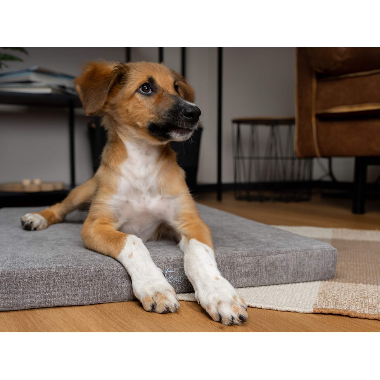 TrendPet VitaMedog 95° orthopädische Matratze braun XS