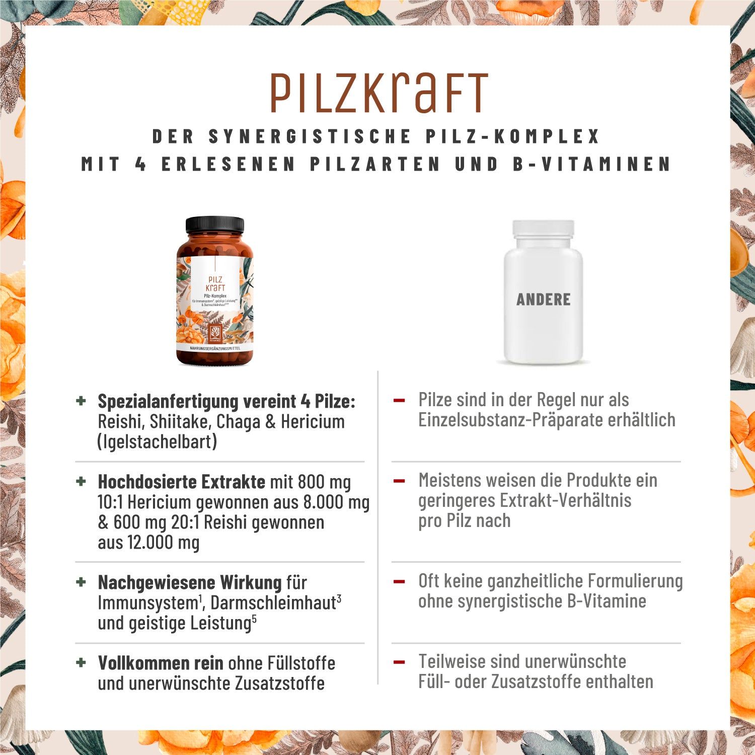 Pilz Komplex mit Hericium Erinaceus (Lions Mane), Reishi, Chaga & Shiitake- Pilzkraft - NATURTREU®