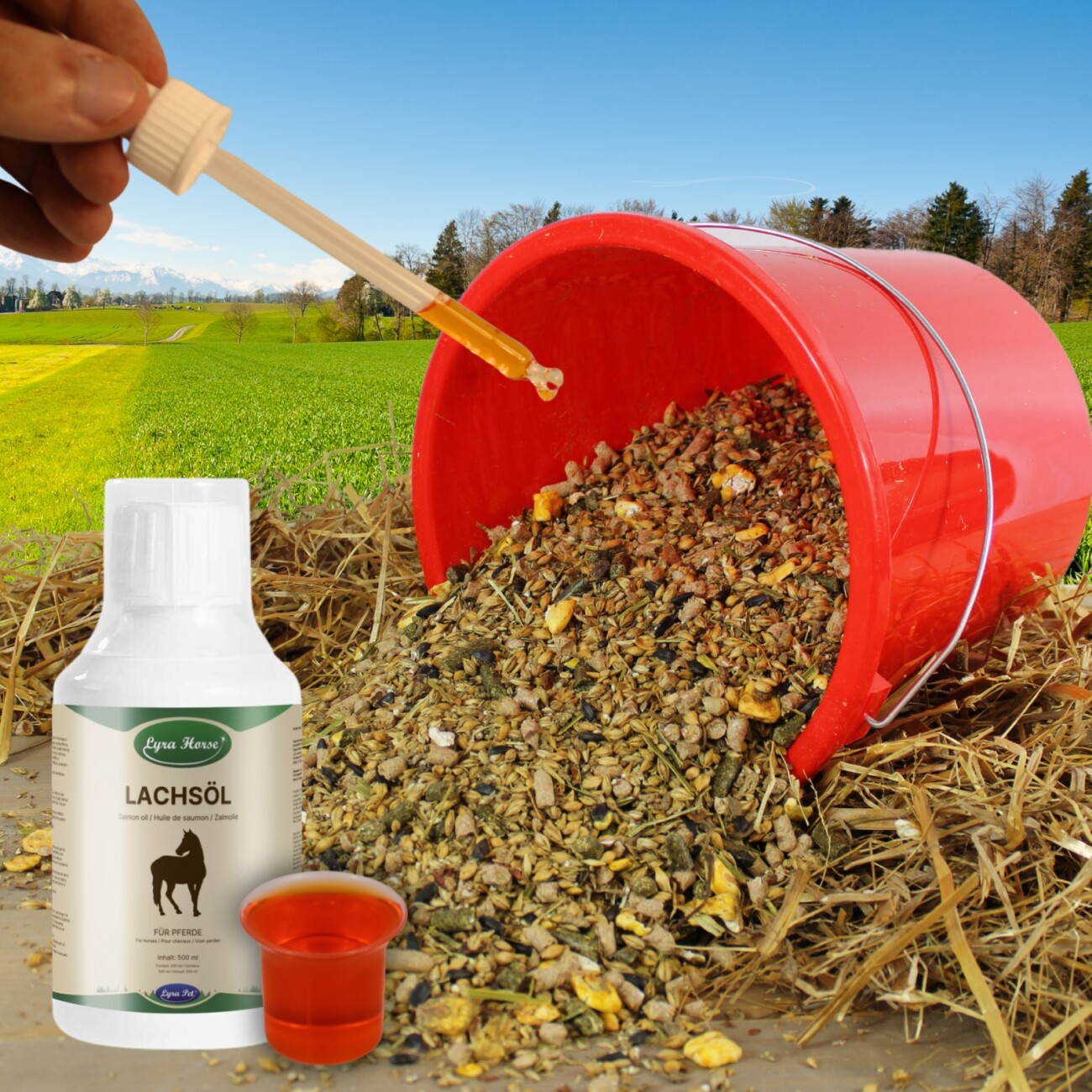 Lyra Pet Lyra Horse Barfer's Solution 100 % Lachsöl für Pferde 500 ml