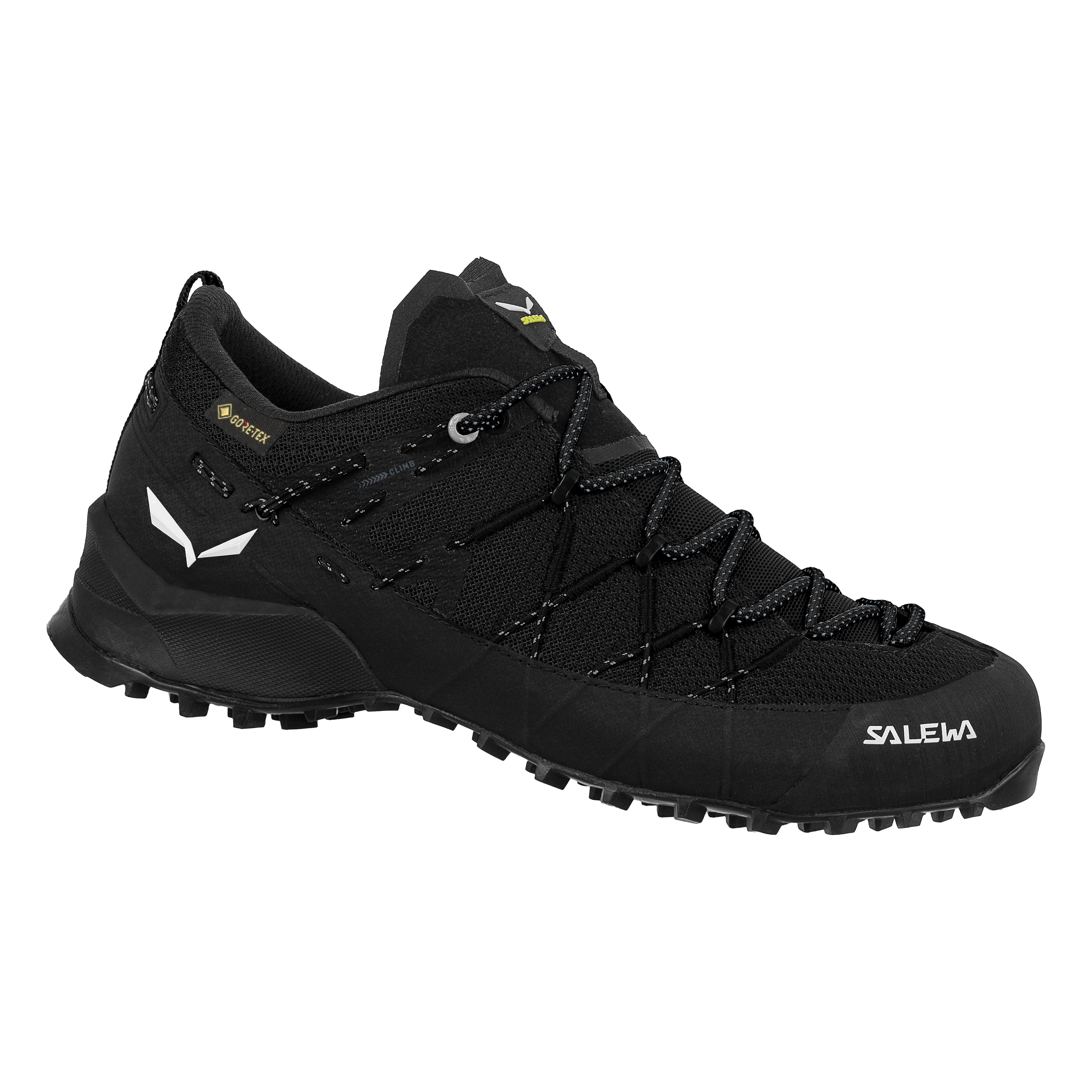 Wildfire 2 Gore-Tex® Schuh Damen