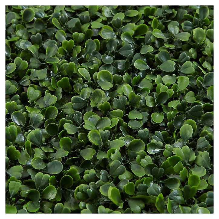 Ecran de verdure clipsable Blooma 50 x 50 cm