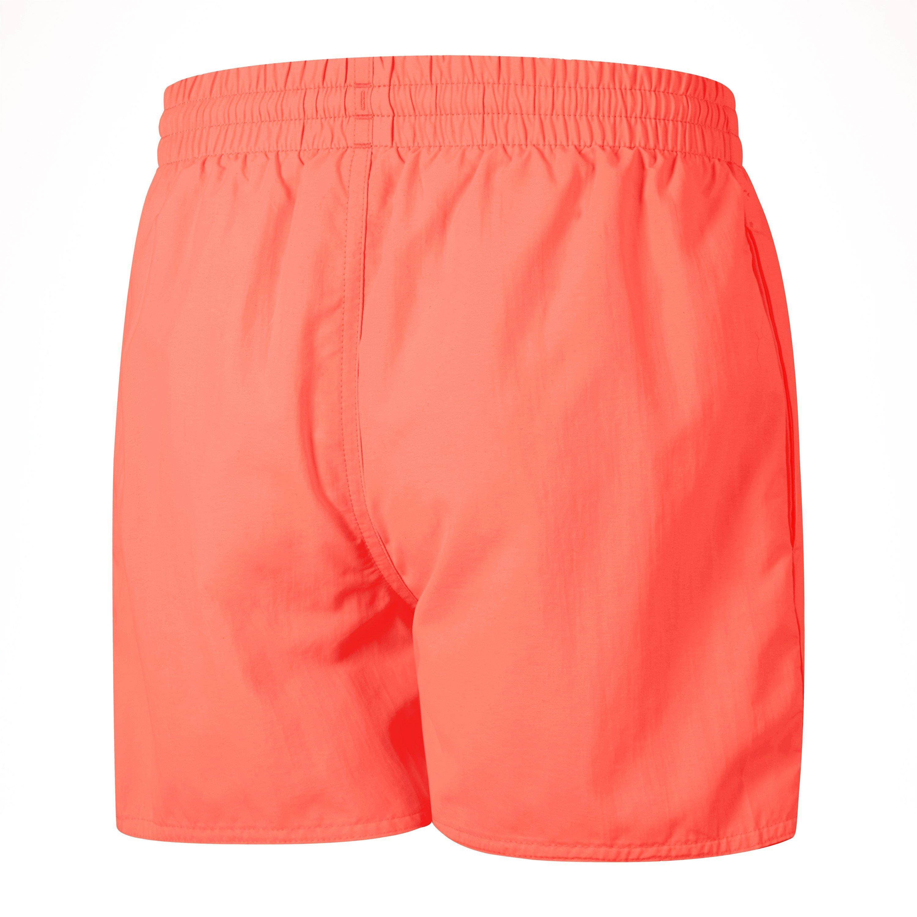 Speedo Clc 13 Wshort In99