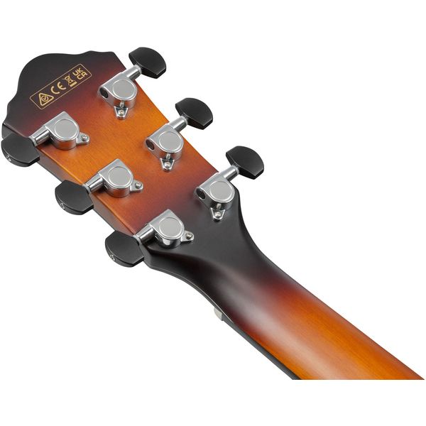 Ibanez AEWC400-AMS