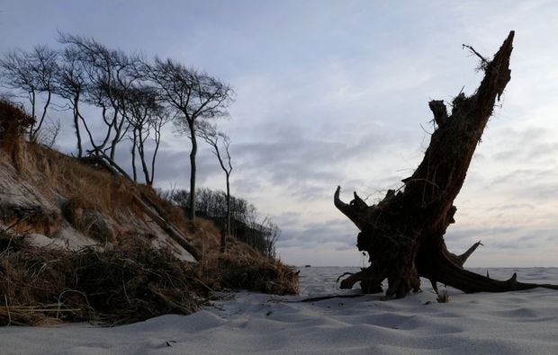 Fotokurs in Prerow als besondere Geschenkidee