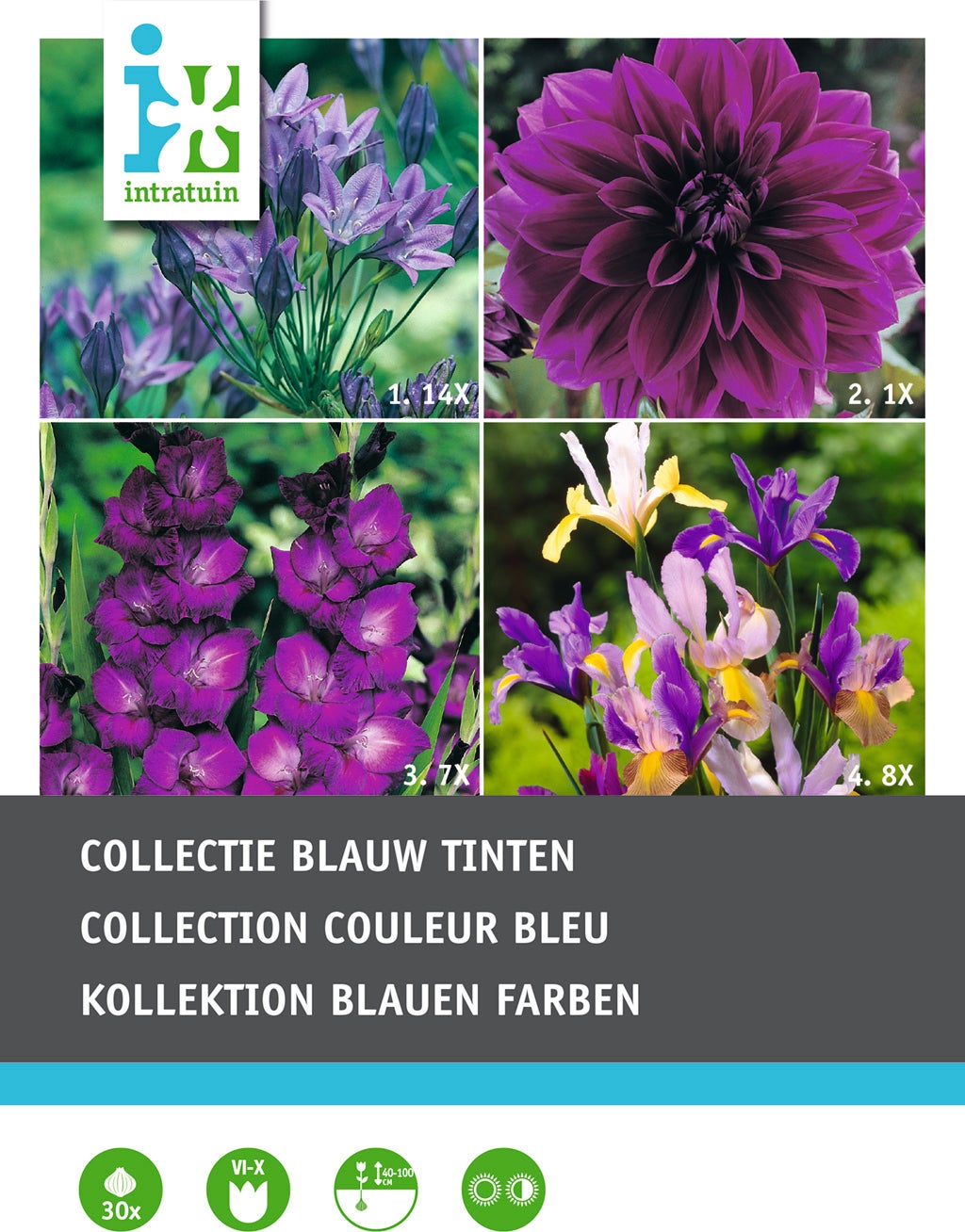 Kleurenpakket blauw bloembollen 30 stuks