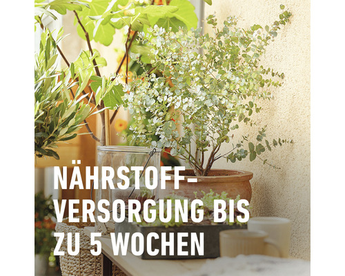 COMPO BIO turfvrije citrusplantengrond 10 L