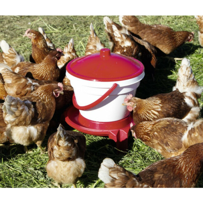 Seau abreuvoir pour volailles avec pieds et anse 12 litres Kerbl