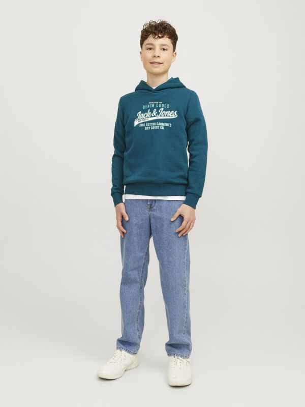 JJELogo 2Col - Sweat à Capuche | Jack & Jones junior Sweat-Shirt à capuche