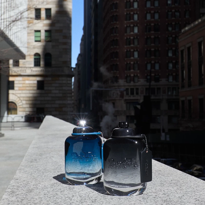 Coach Blue EDT 100 ml