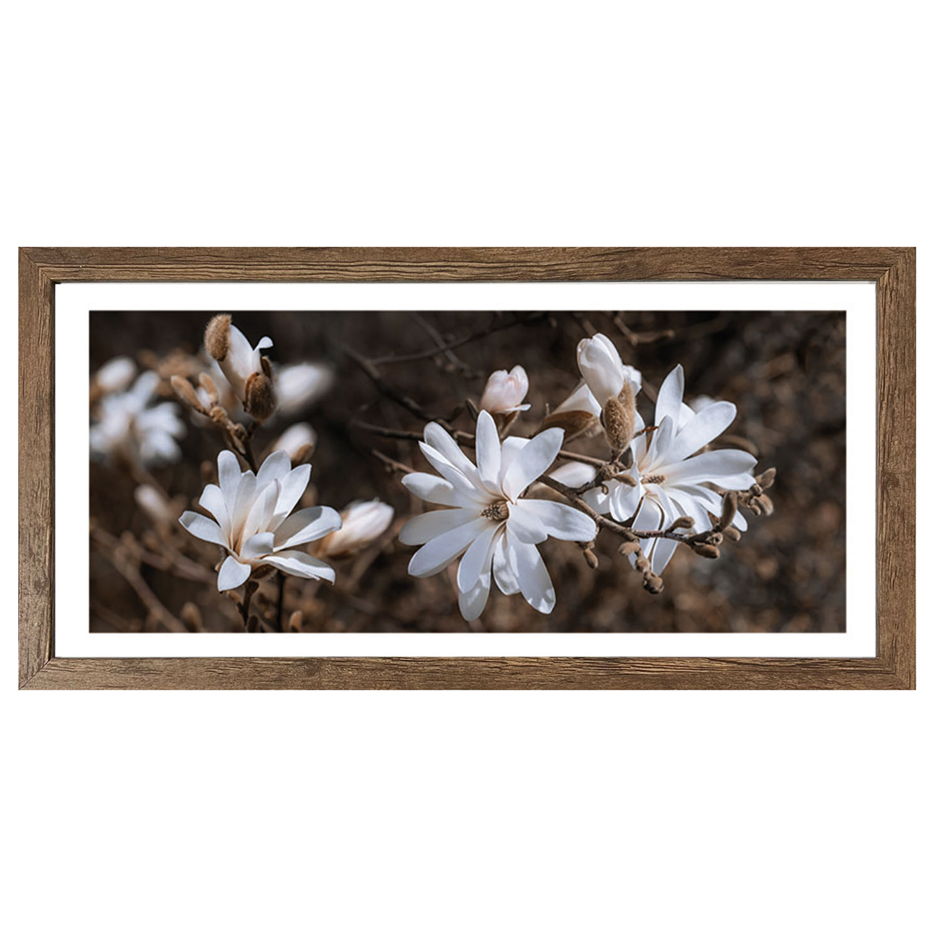 Gerahmtes Bild/Cheb WEIßE BLUME - 49x23 cm