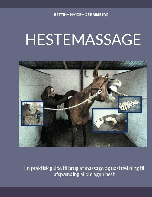 Hestemassage - Bettina Hvidemose - Bog