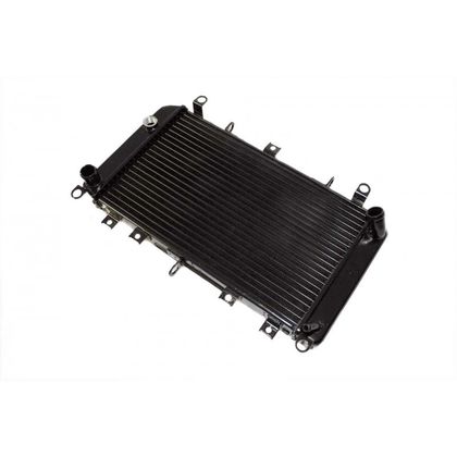 Radiateur Brazoline A EAU ADAPTABLE