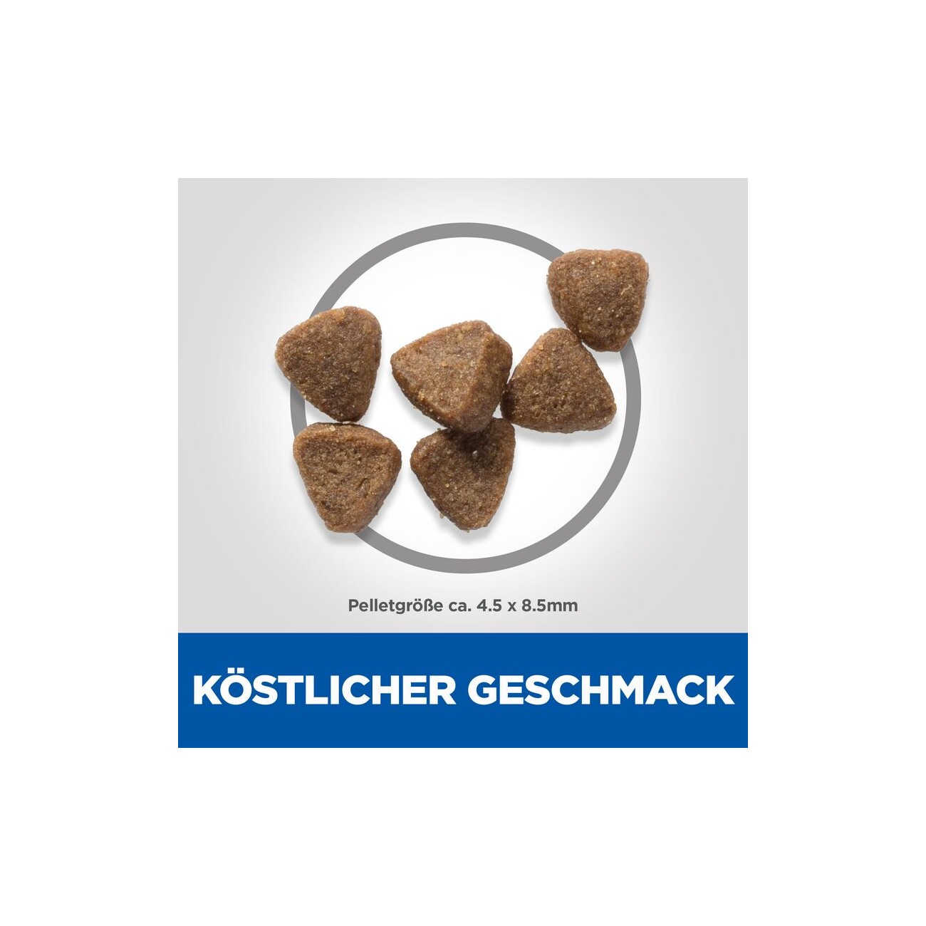 Hill's Science Plan Kätzchefutter Huhn 1,5 kg