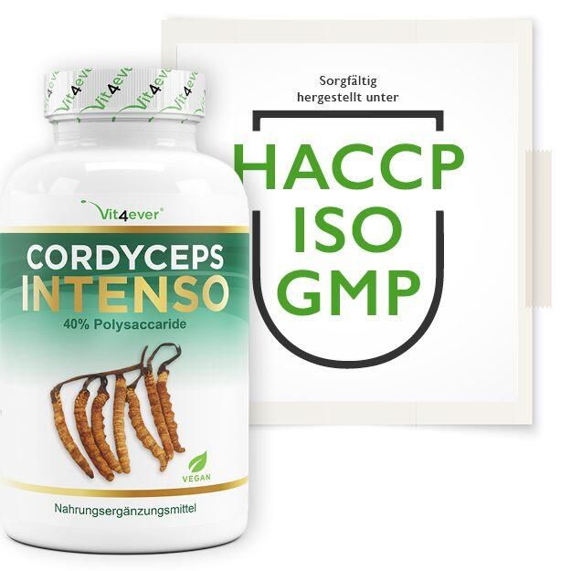 vit4ever Cordyceps Intenso