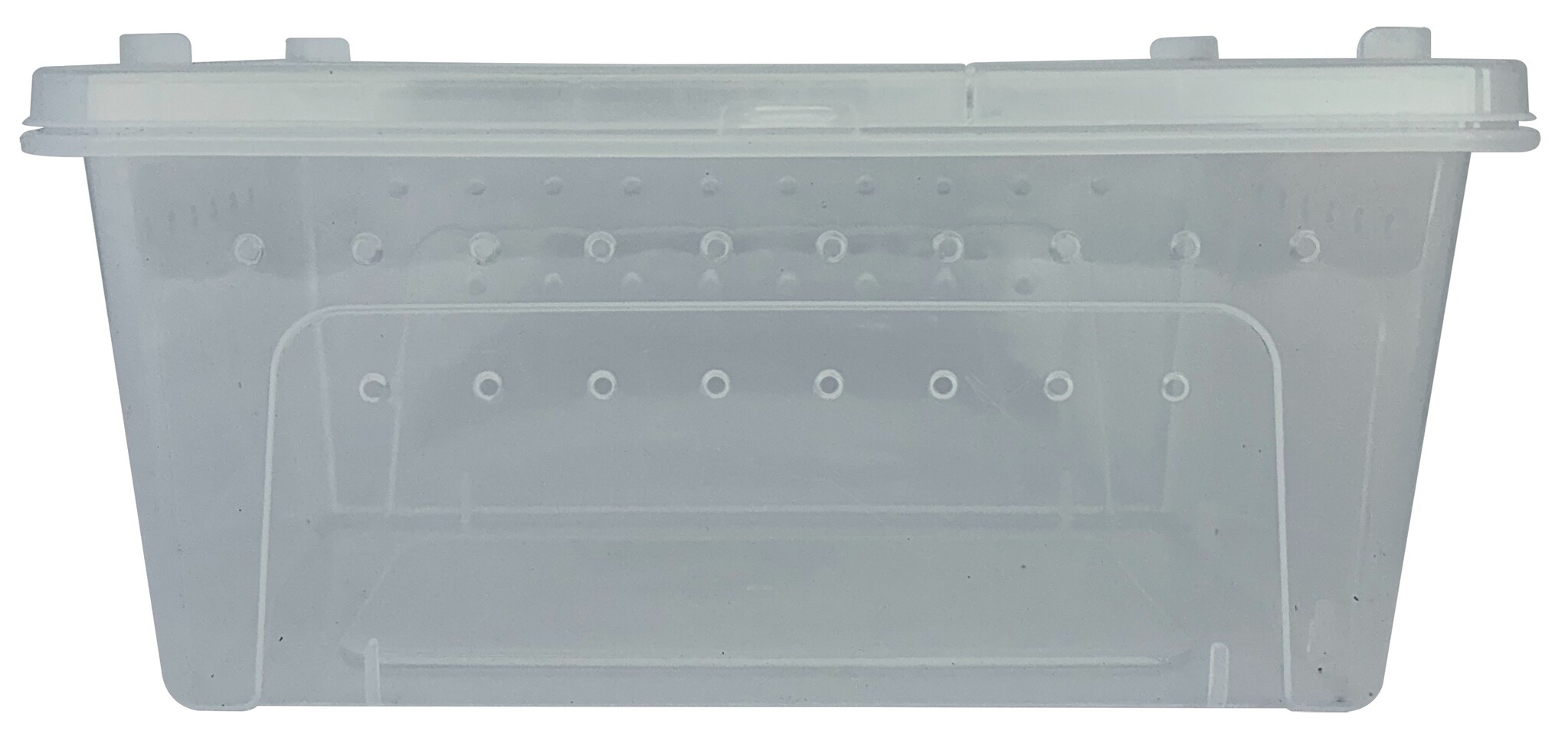 Repto Transport Box 37x24x16cm