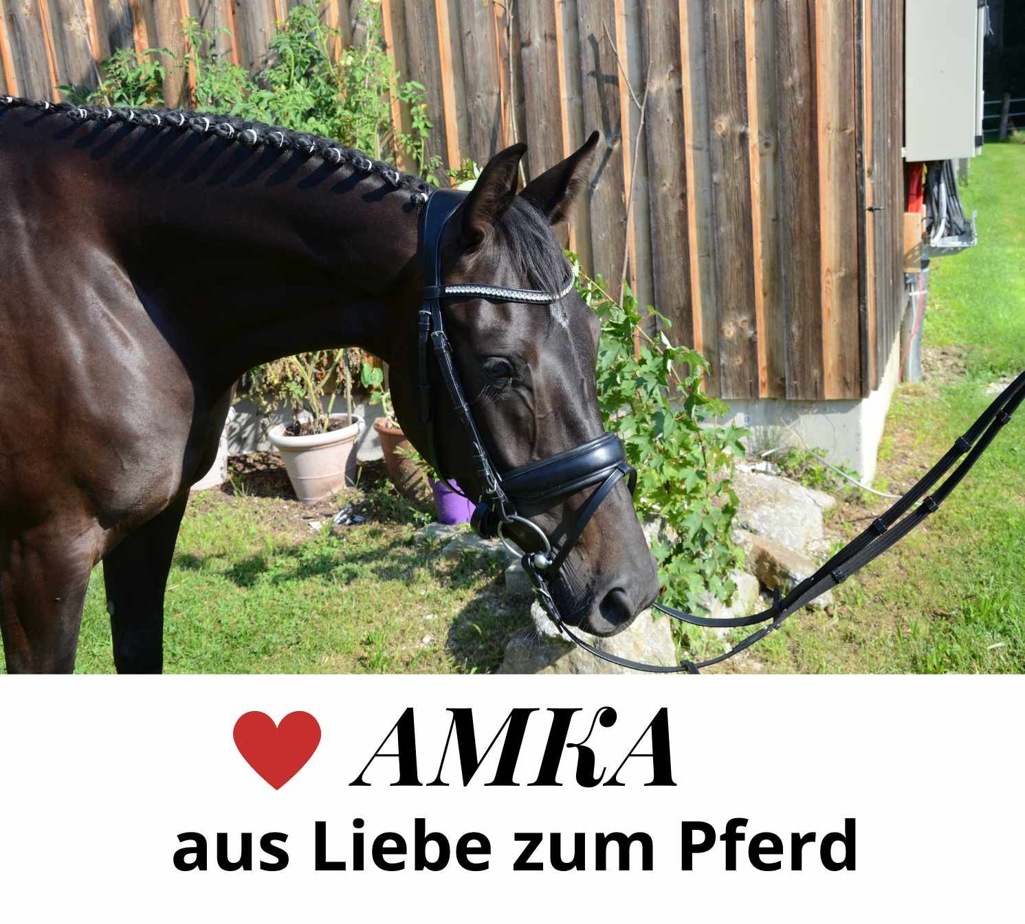 AMKA Mähnenverziehmesser