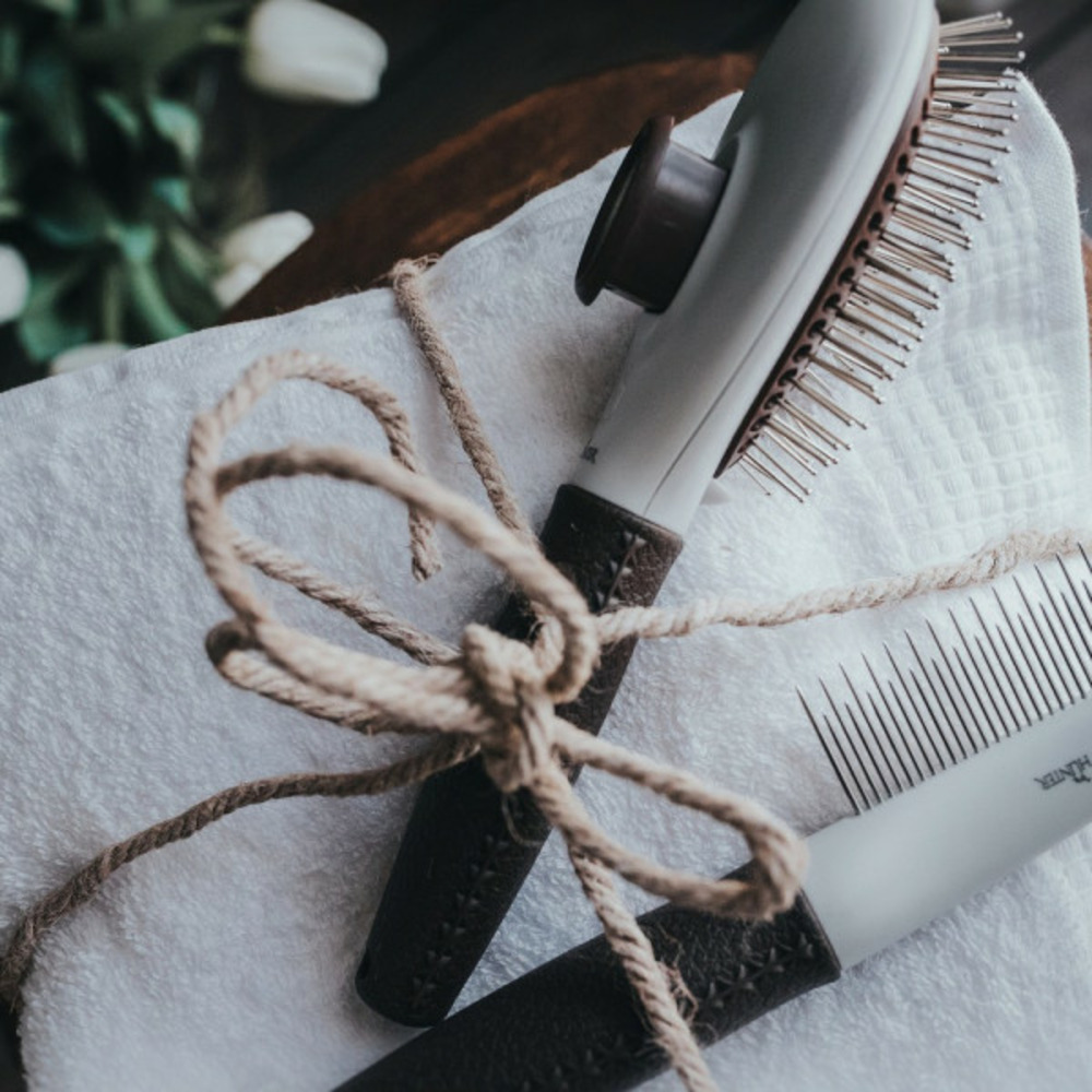 Brosse démêlante auto-nettoyant