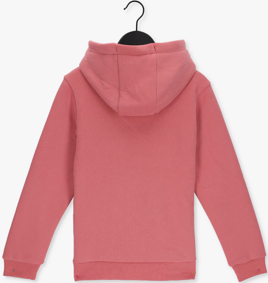 RELLIX roze rellix trui hooded rlx